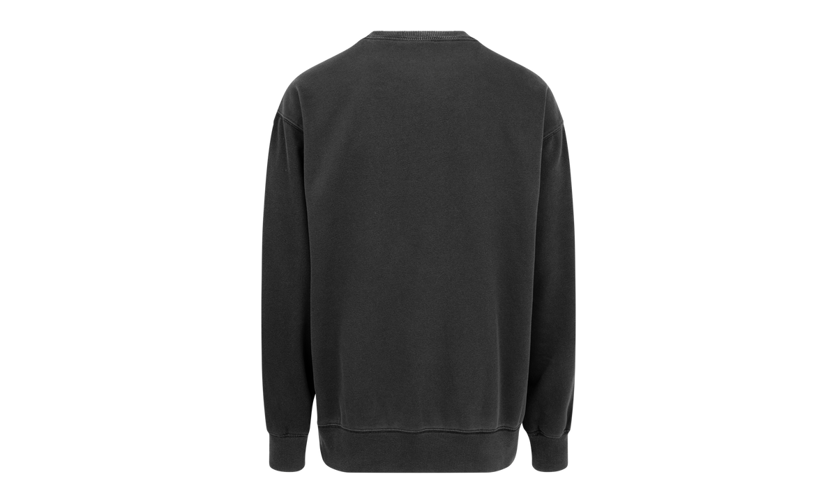 TNF Pigment Printed Crewneck "SS21" SU10648
